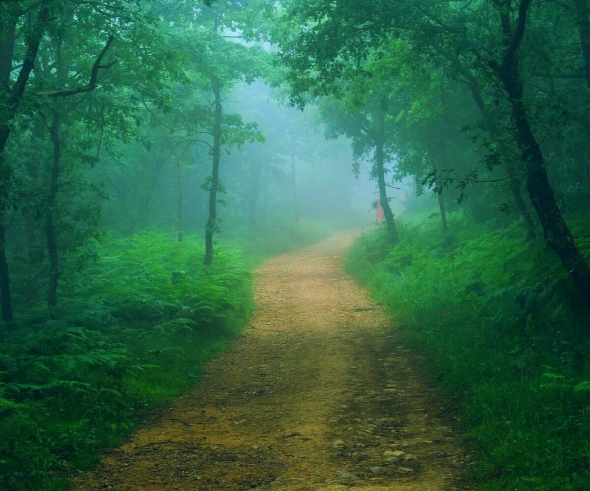 Lugares de cuento en el Camino de Santiago ~ Loca Academia Familiar